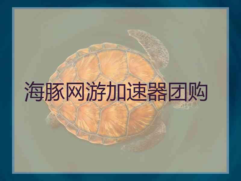 海豚网游加速器团购