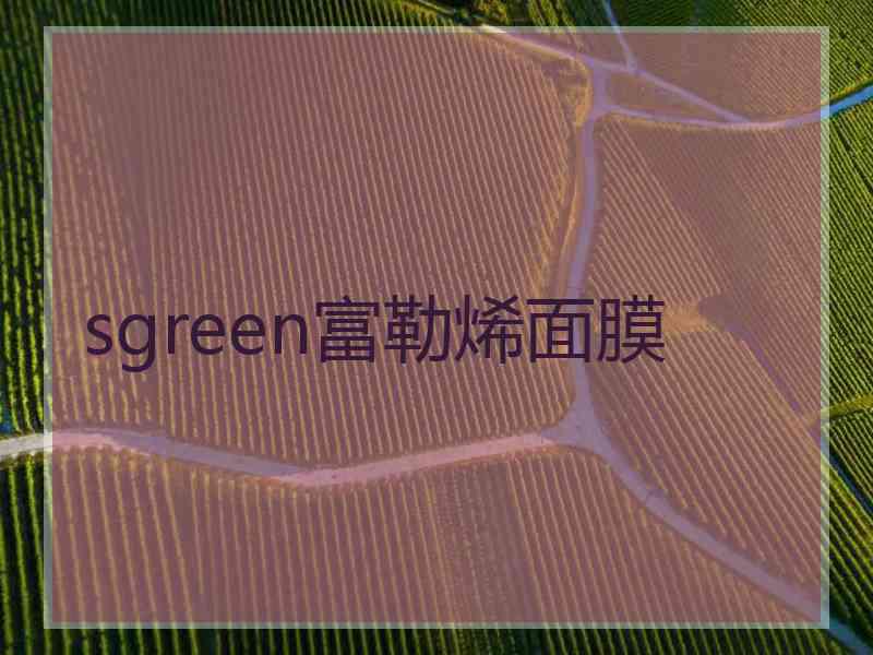 sgreen富勒烯面膜