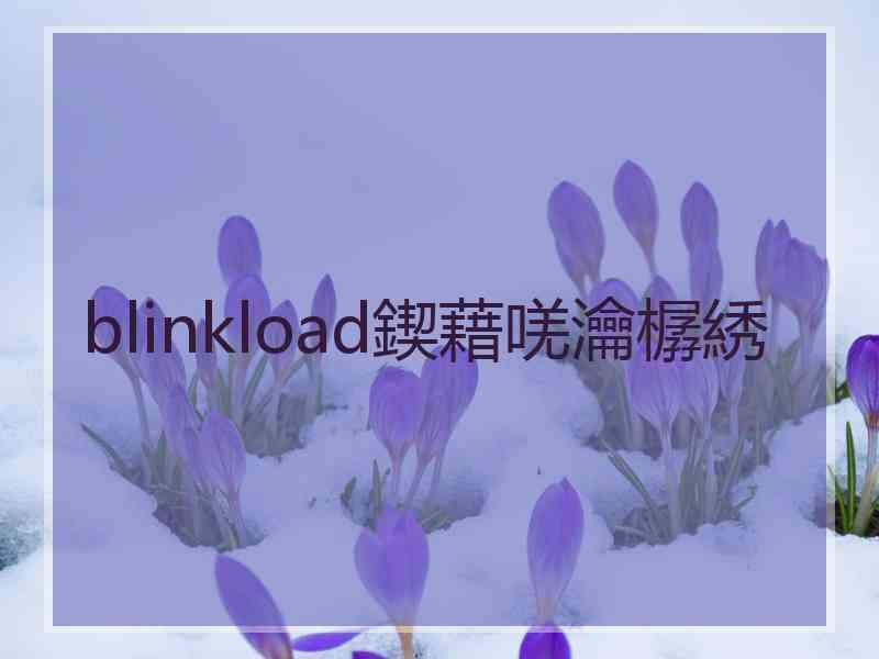 blinkload鍥藉唴瀹樼綉