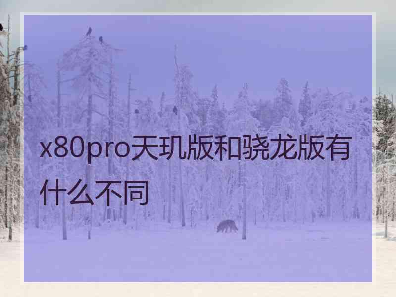 x80pro天玑版和骁龙版有什么不同