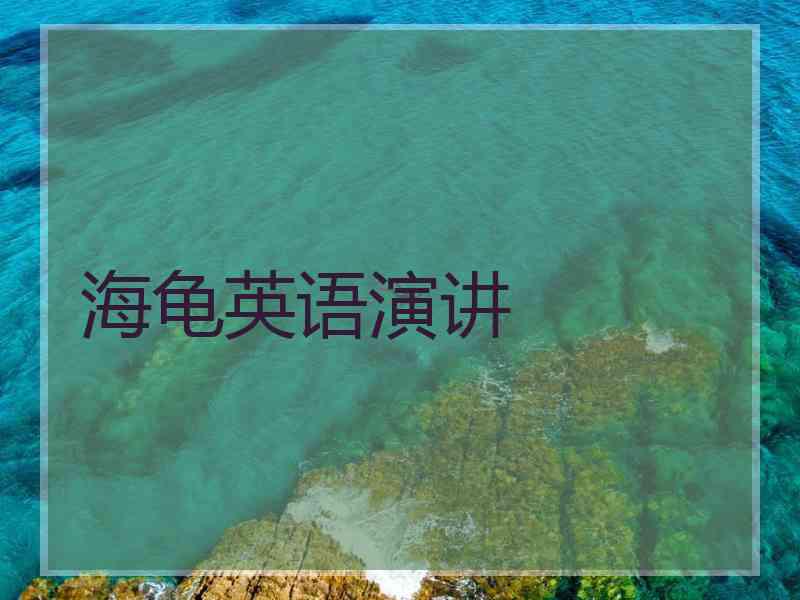 海龟英语演讲