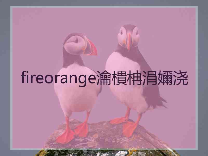 fireorange瀹樻柟涓嬭浇