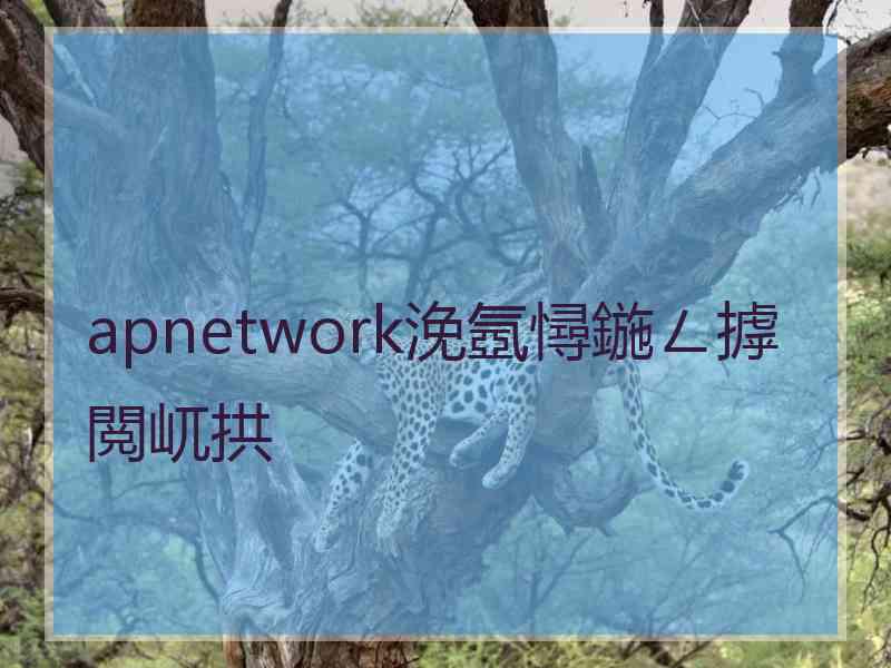 apnetwork浼氬憳鍦ㄥ摢閲屼拱