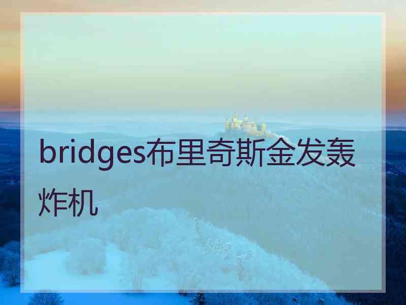 bridges布里奇斯金发轰炸机