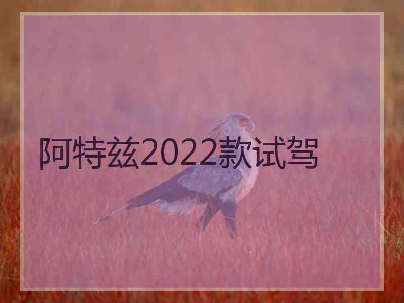 阿特兹2022款试驾