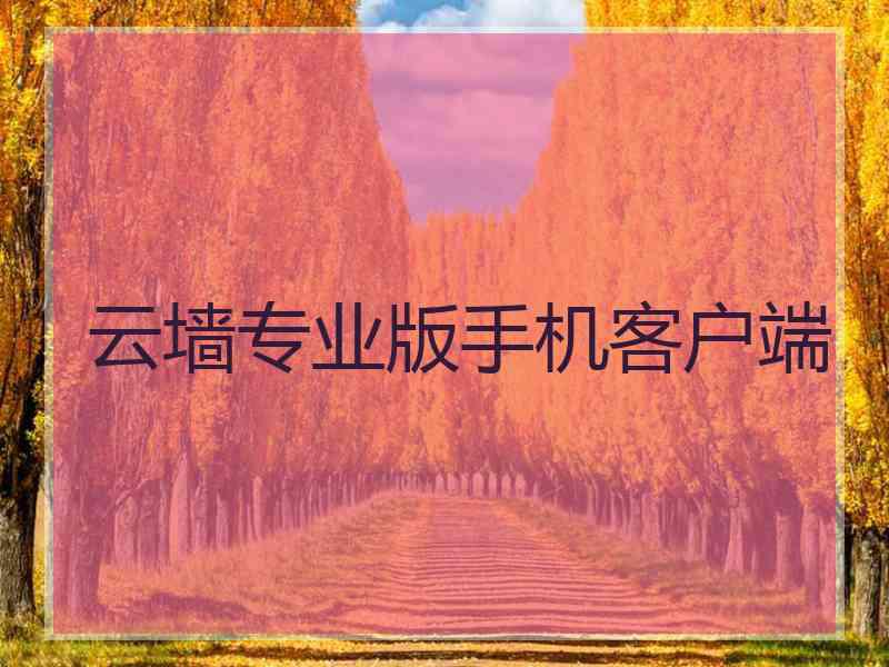 云墙专业版手机客户端