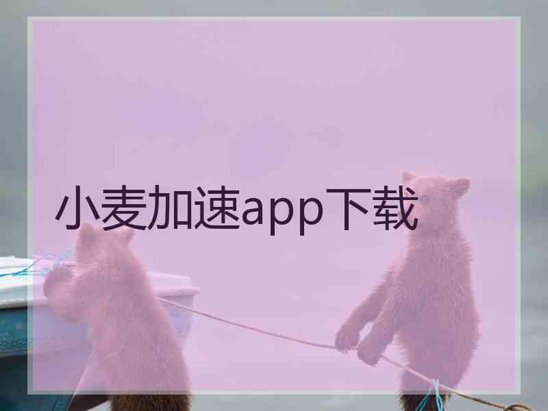 小麦加速app下载