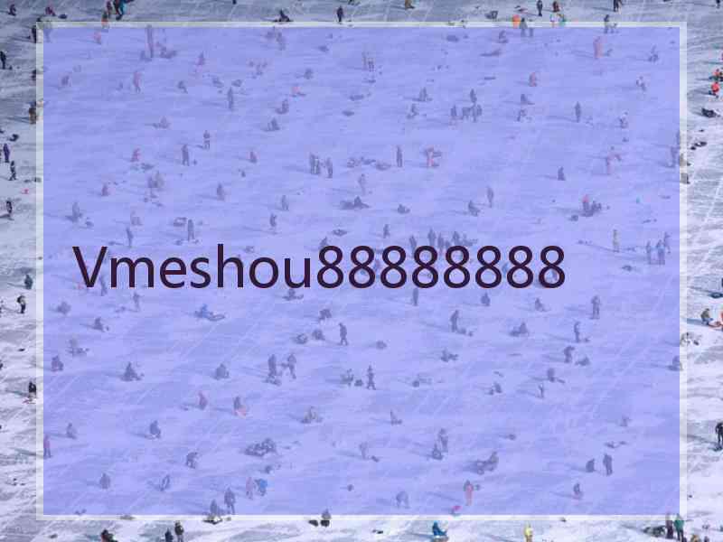 Vmeshou88888888