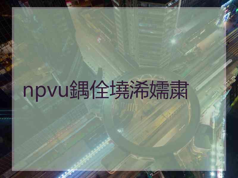 npvu鍝佺墝浠嬬粛