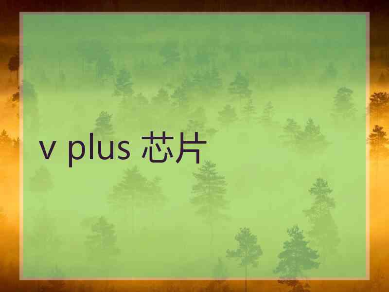 v plus 芯片