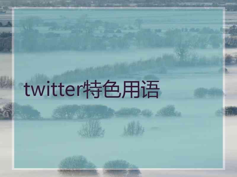 twitter特色用语