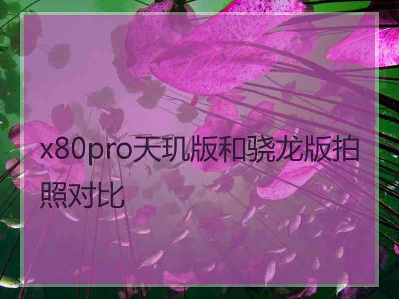 x80pro天玑版和骁龙版拍照对比