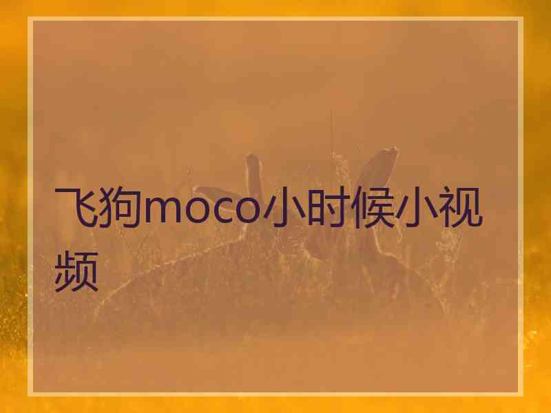 飞狗moco小时候小视频