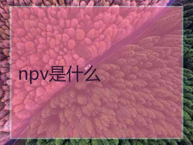 npv是什么