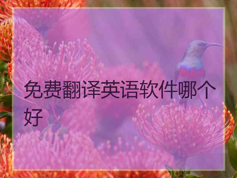 免费翻译英语软件哪个好