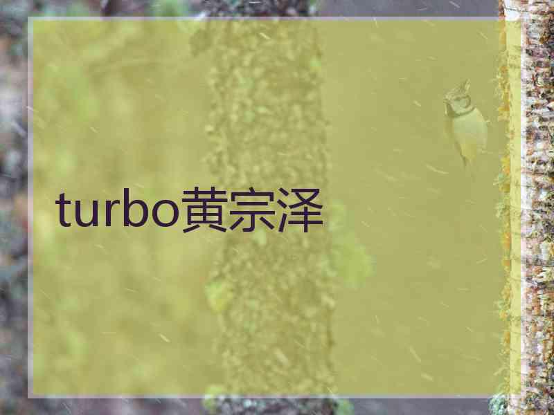 turbo黄宗泽