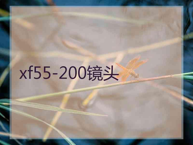 xf55-200镜头