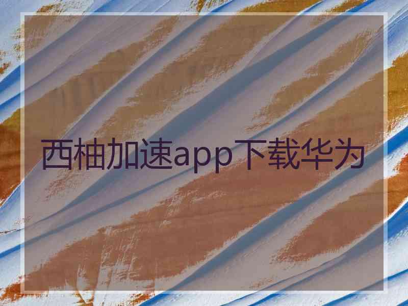 西柚加速app下载华为