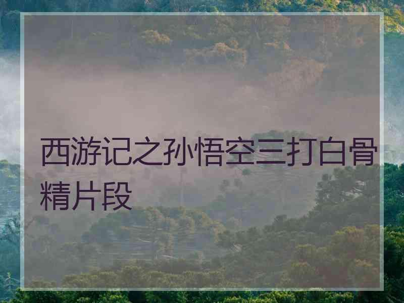 西游记之孙悟空三打白骨精片段