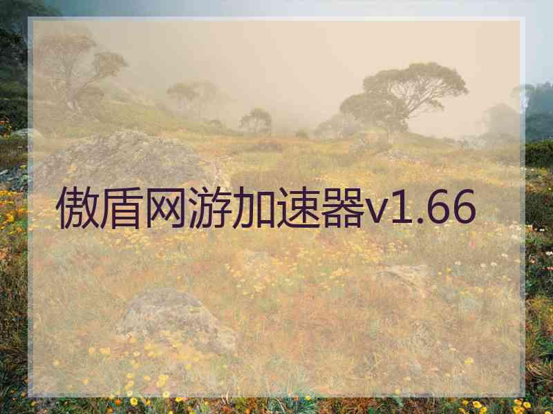 傲盾网游加速器v1.66