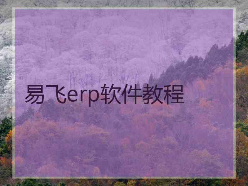 易飞erp软件教程