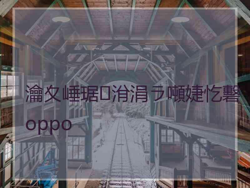 瀹夊崜琚洕涓ラ噸婕忔礊oppo