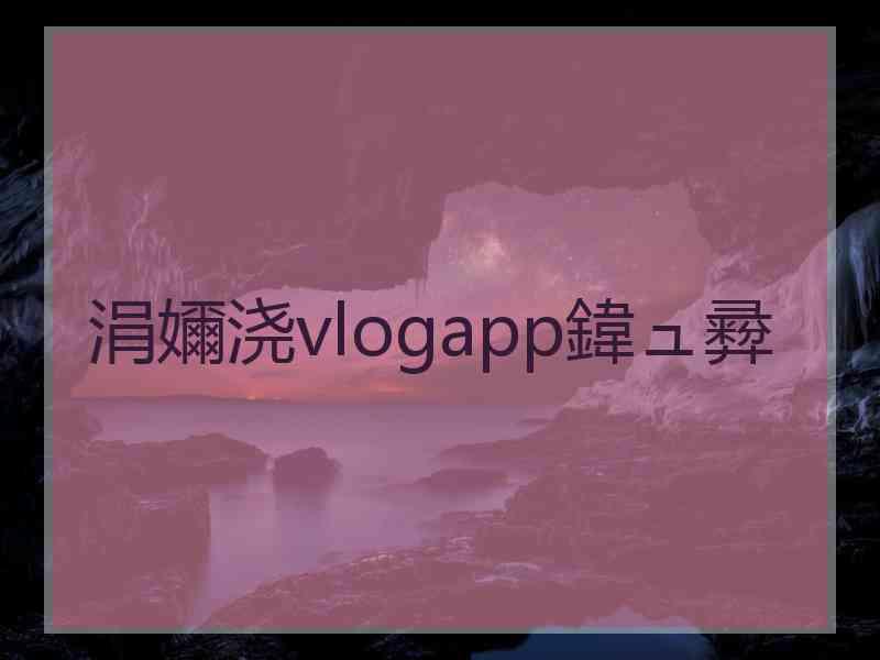 涓嬭浇vlogapp鍏ュ彛