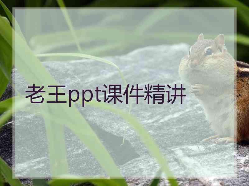 老王ppt课件精讲