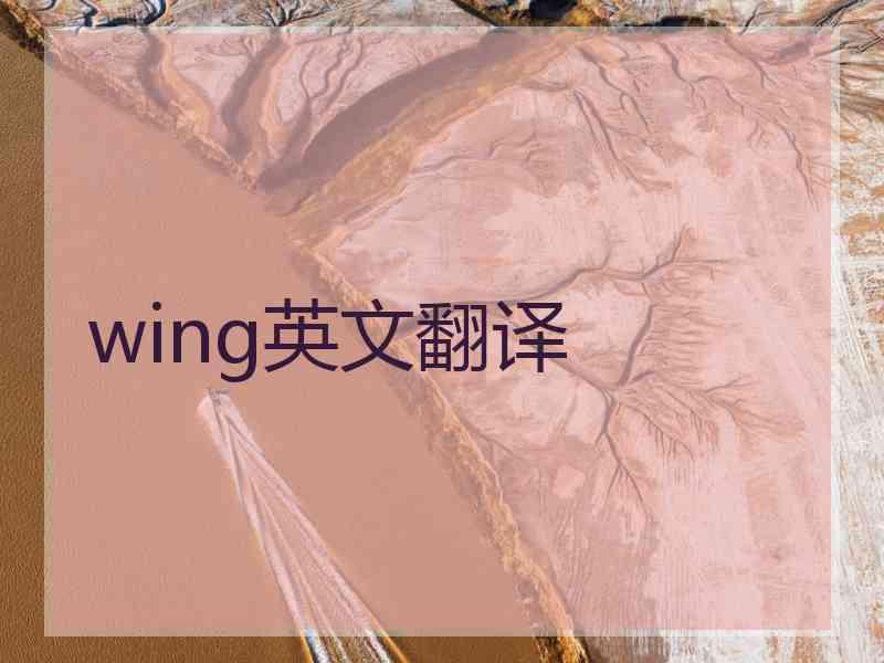 wing英文翻译