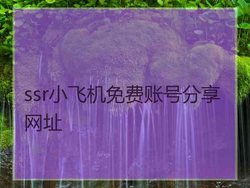 ssr小飞机免费账号分享网址