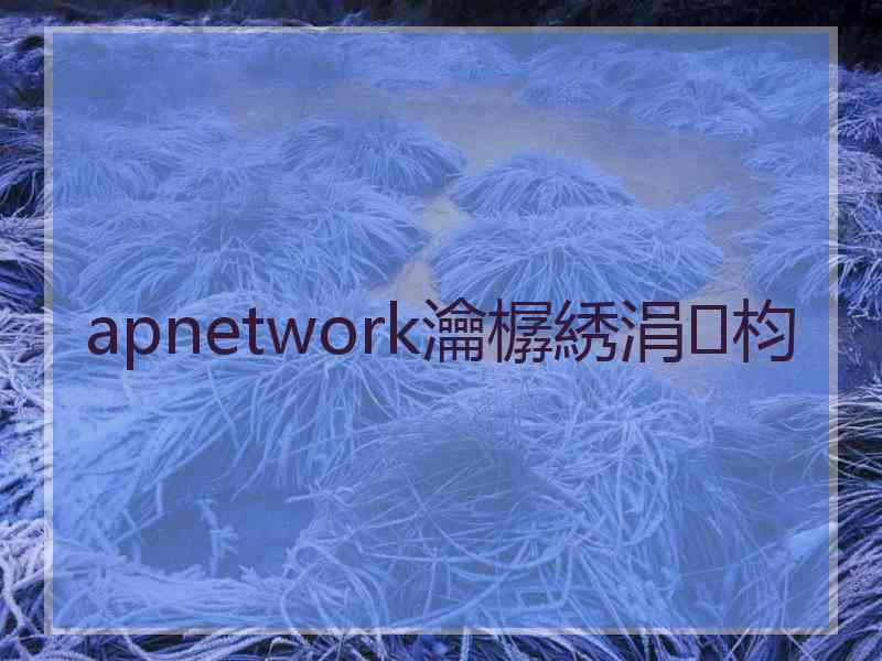 apnetwork瀹樼綉涓枃