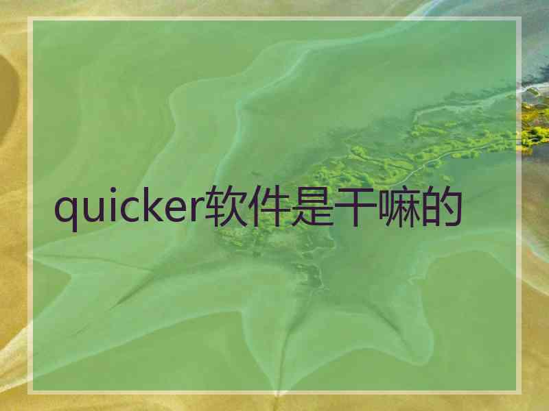 quicker软件是干嘛的