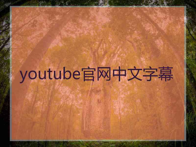 youtube官网中文字幕