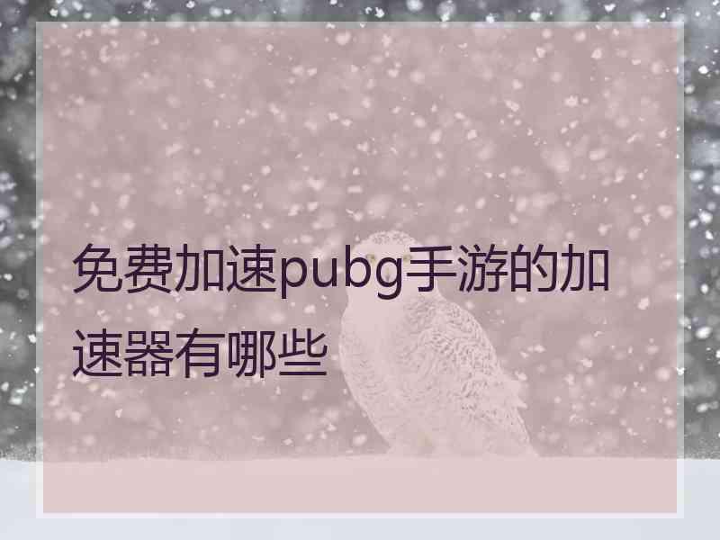 免费加速pubg手游的加速器有哪些