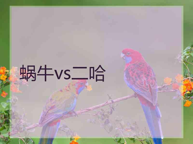 蜗牛vs二哈