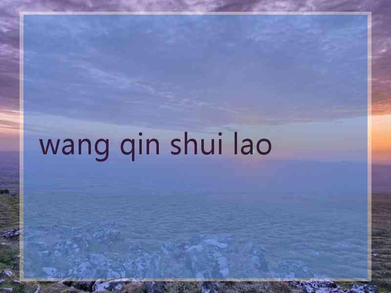 wang qin shui lao