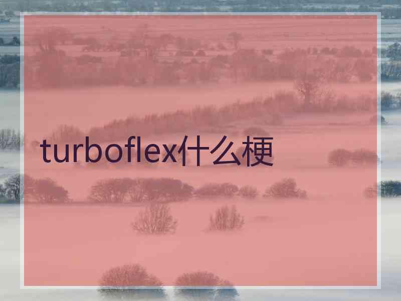 turboflex什么梗