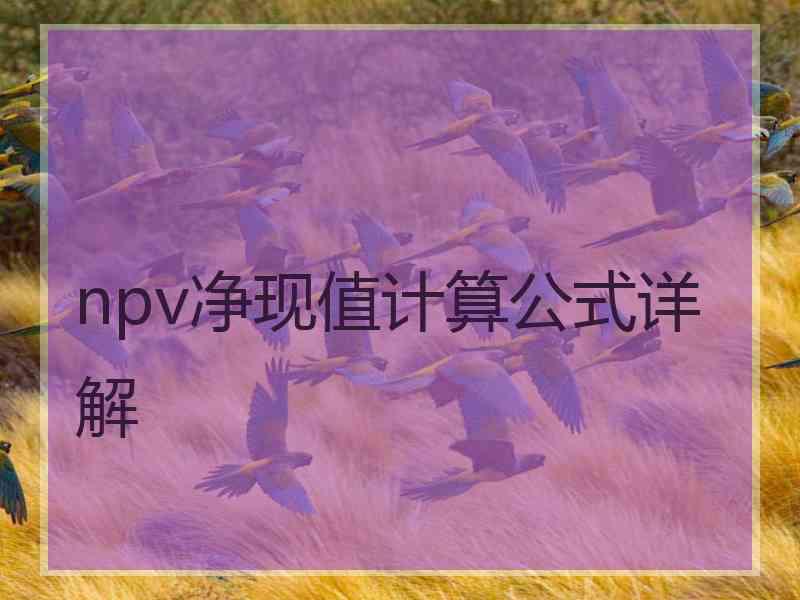 npv净现值计算公式详解