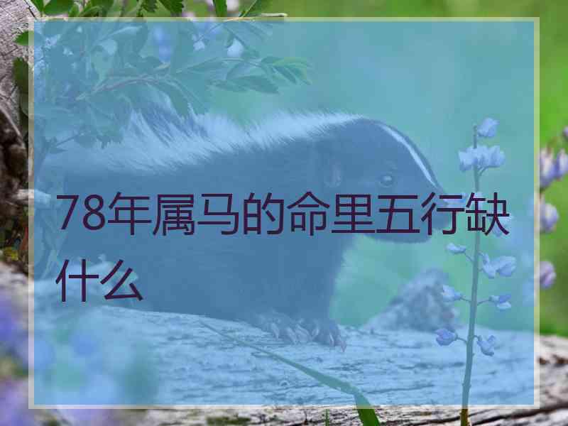 78年属马的命里五行缺什么