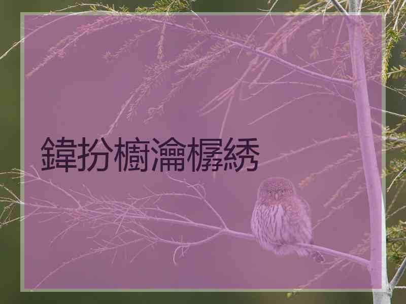 鍏扮櫥瀹樼綉