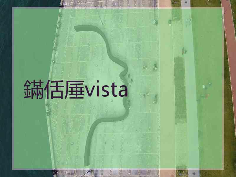 鏋佸厜vista