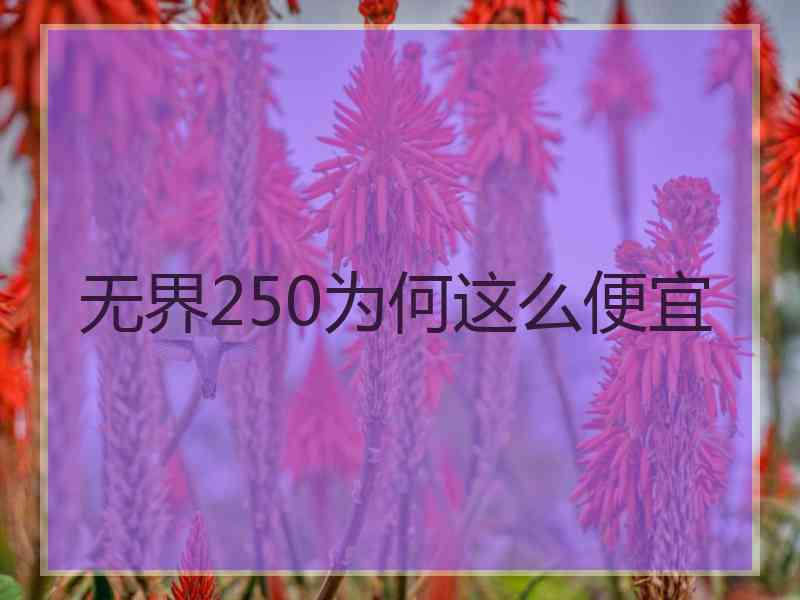 无界250为何这么便宜