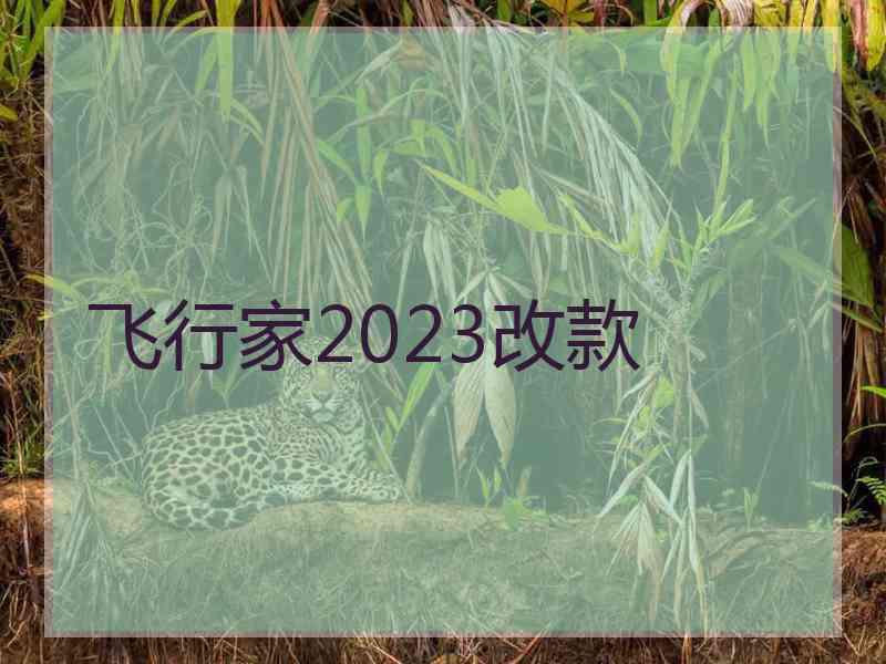 飞行家2023改款