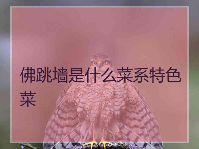 佛跳墙是什么菜系特色菜