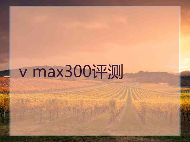 v max300评测