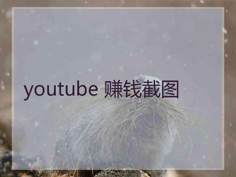 youtube 赚钱截图