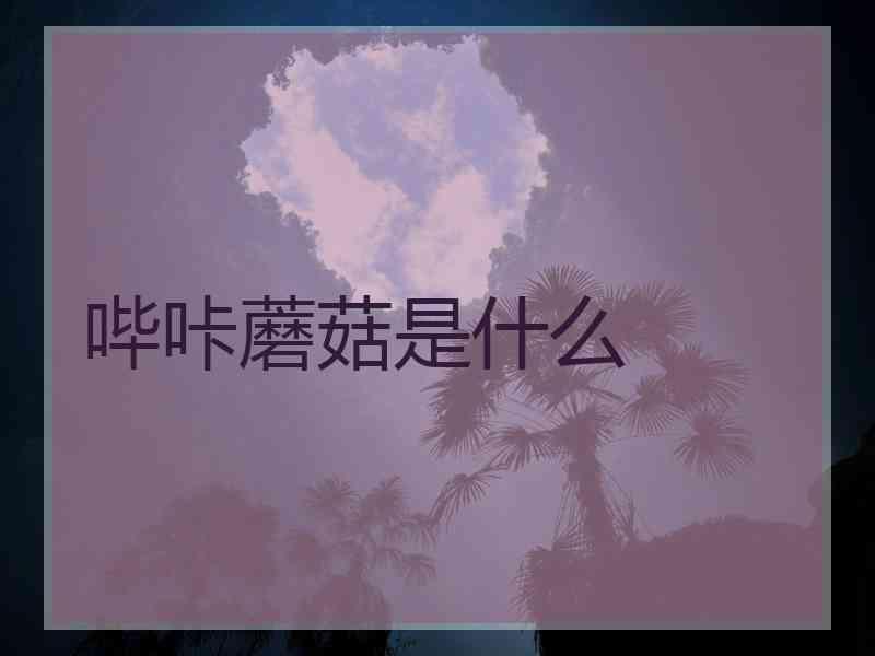 哔咔蘑菇是什么