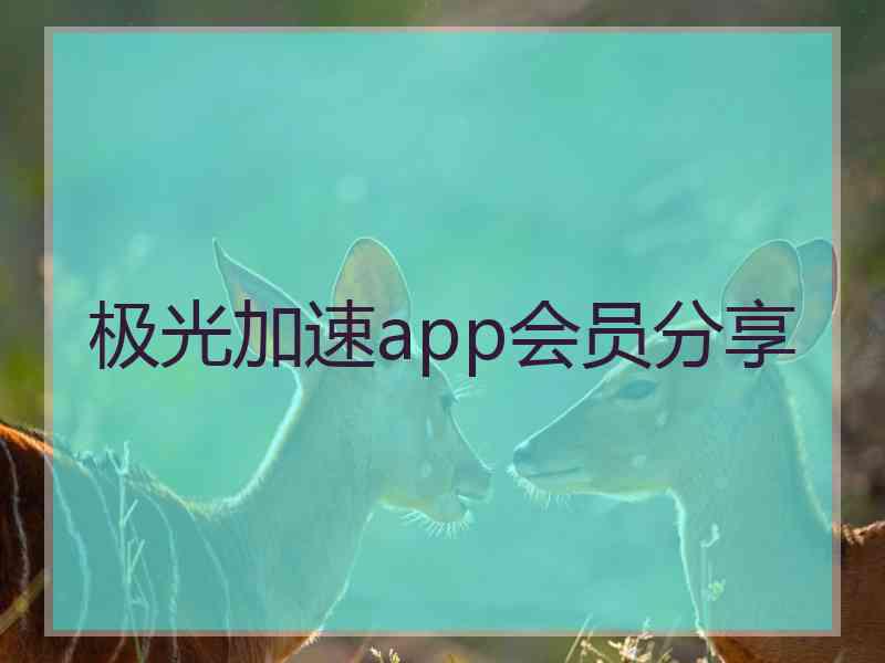 极光加速app会员分享