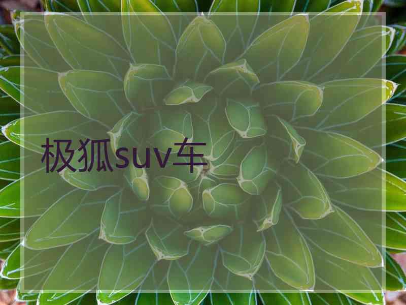 极狐suv车