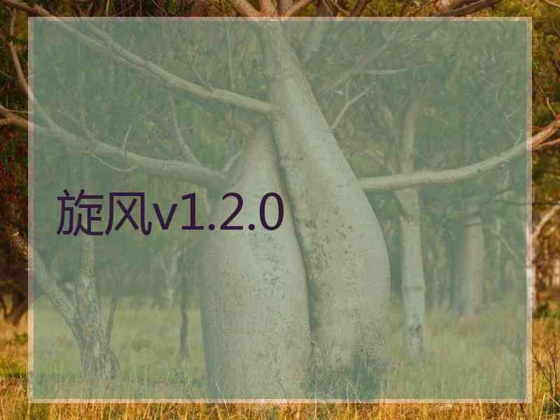 旋风v1.2.0